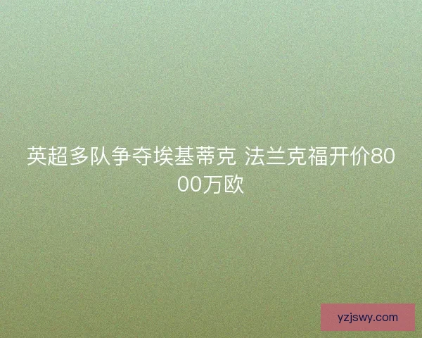 英超多队争夺埃基蒂克 法兰克福开价8000万欧