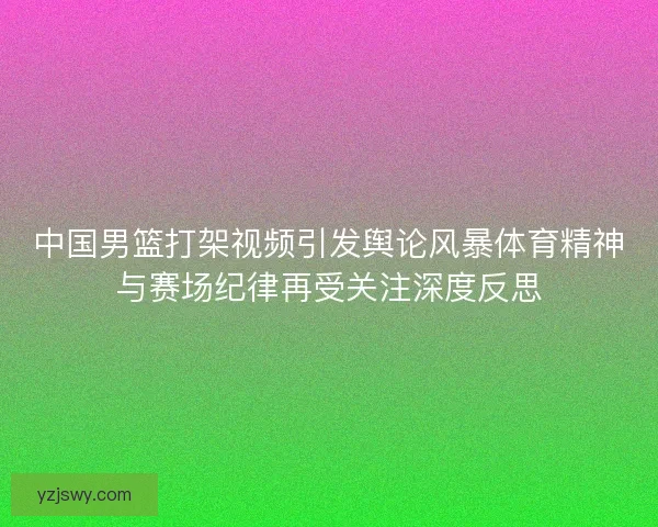 中国男篮打架视频引发舆论风暴体育精神与赛场纪律再受关注深度反思